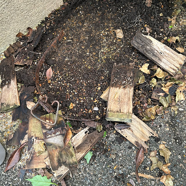 fumikoiさんの実例写真