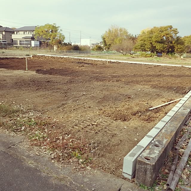 morikorisさんの実例写真