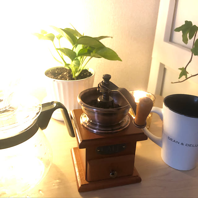 100均/一人暮らし/カフェ風/ホワイトインテリア/観葉植物...などのインテリア実例 - 2019-05-06 17:08:48