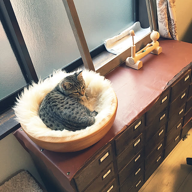 Mさんの実例写真