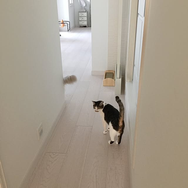 yuchiさんの実例写真