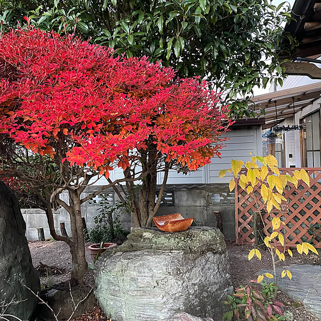 shin0719さんの部屋