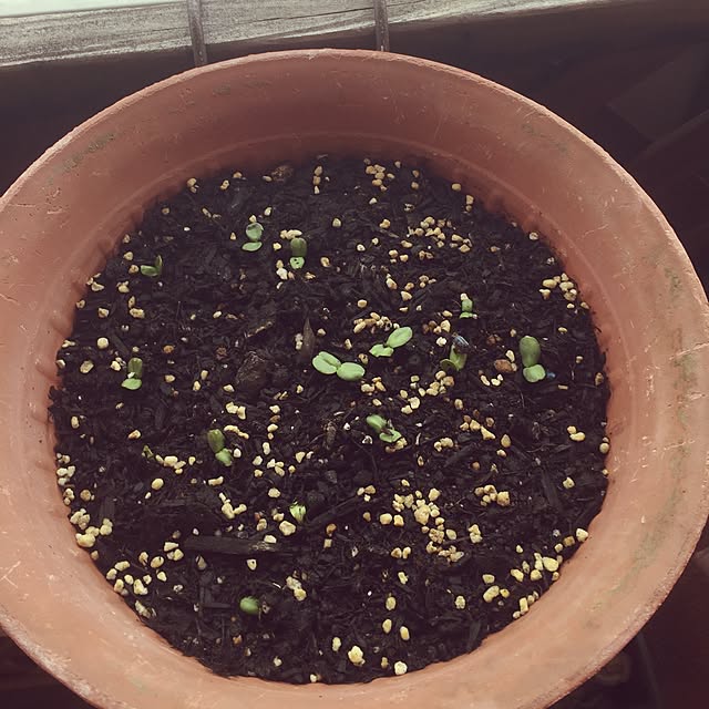 kojiro120513さんの実例写真