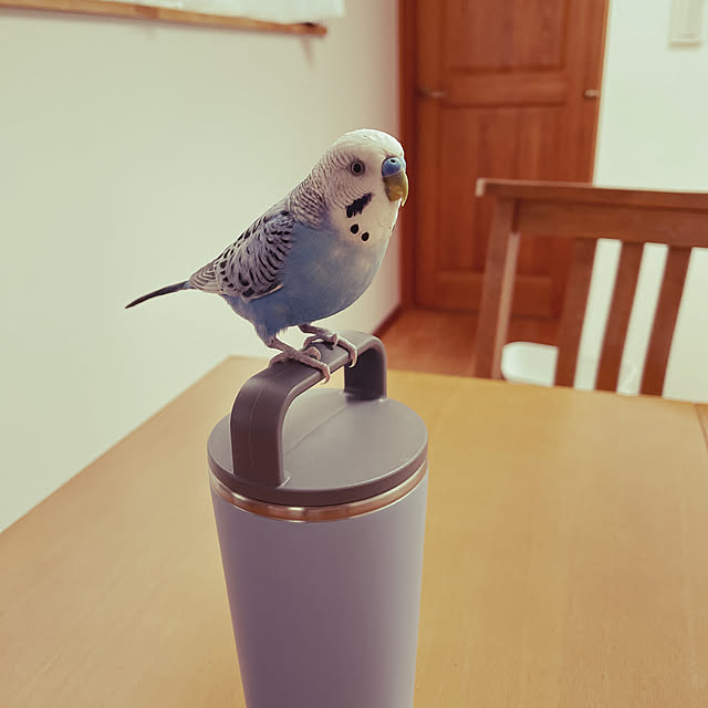 nahonさんの実例写真