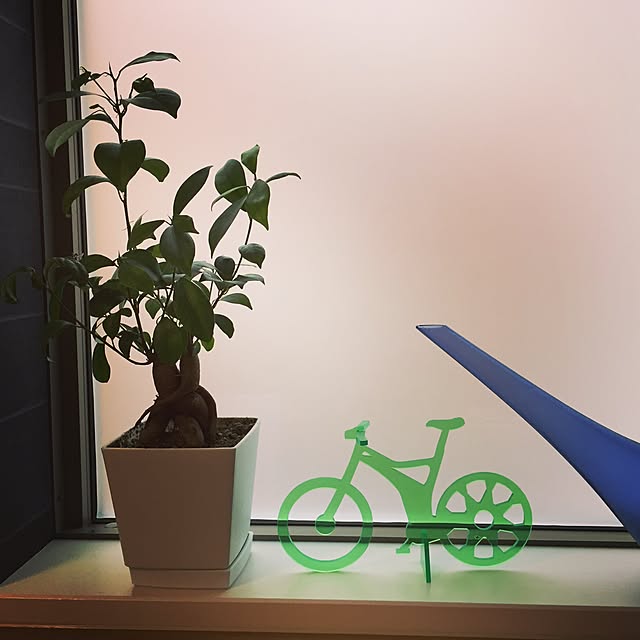 Peloさんの実例写真