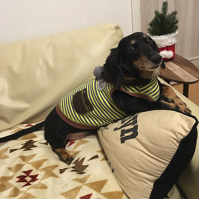 youmitsuさんの実例写真