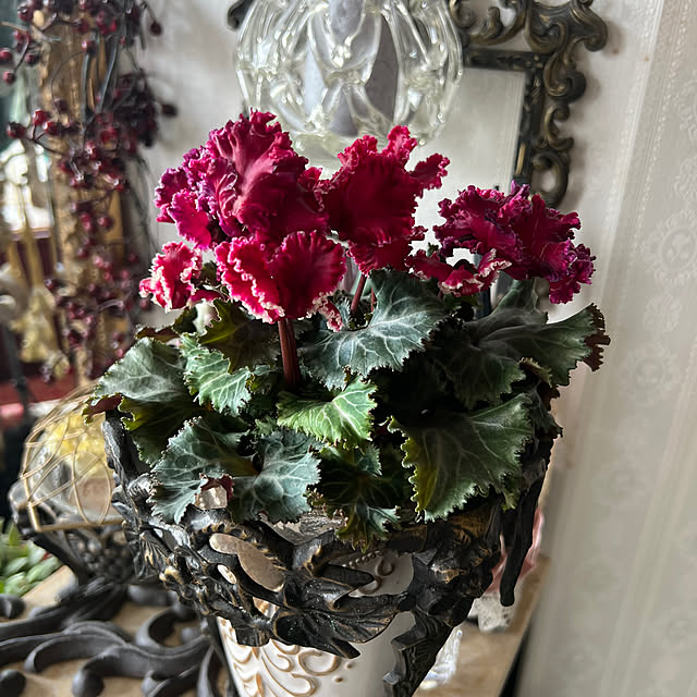 AYUKOさんの実例写真