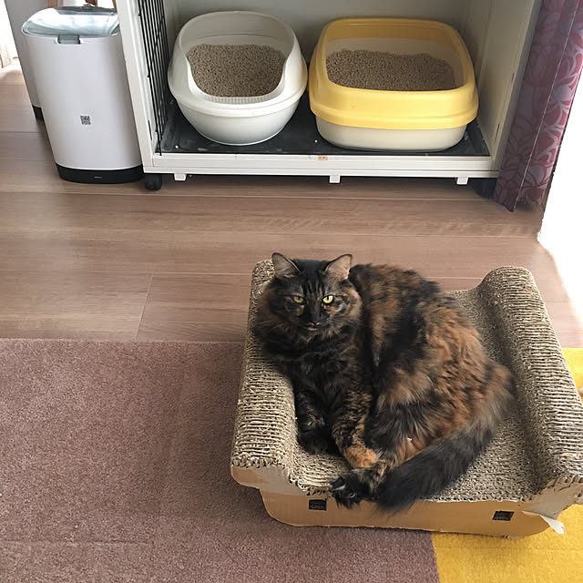 mikomaruさんの実例写真