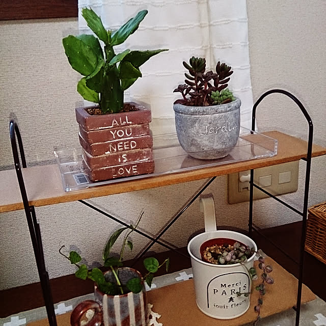 棚/植木鉢/100均/セリア/サボテン...などのインテリア実例 - 2018-06-16 19:30:19