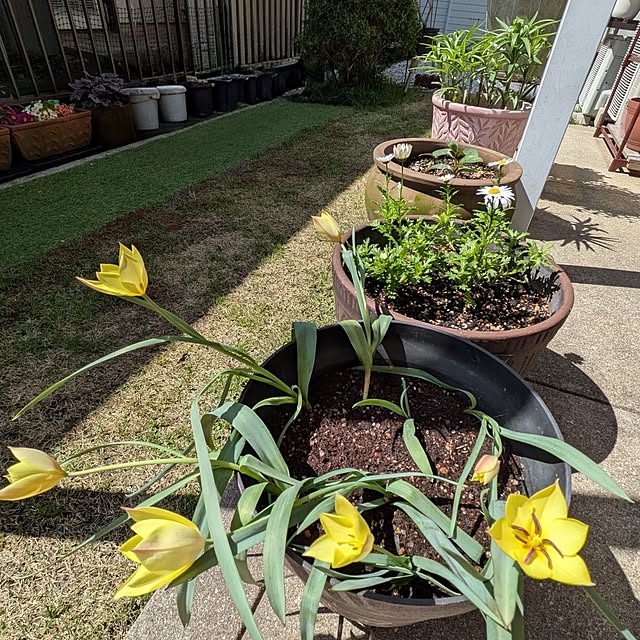 Renさんのお部屋の写真