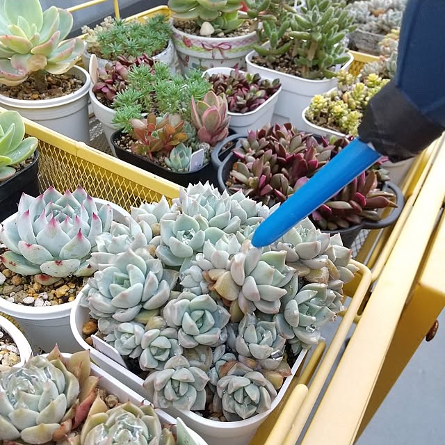 meiさんの実例写真