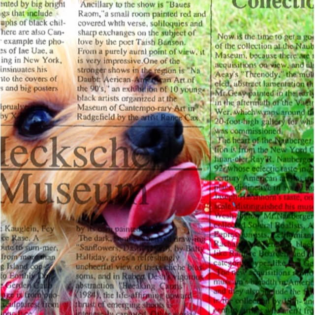 annieさんの実例写真