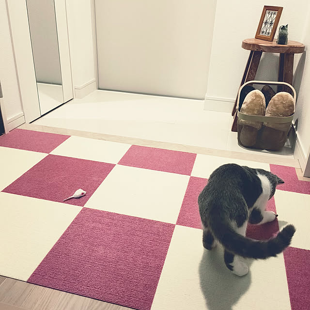KEIKOさんの実例写真