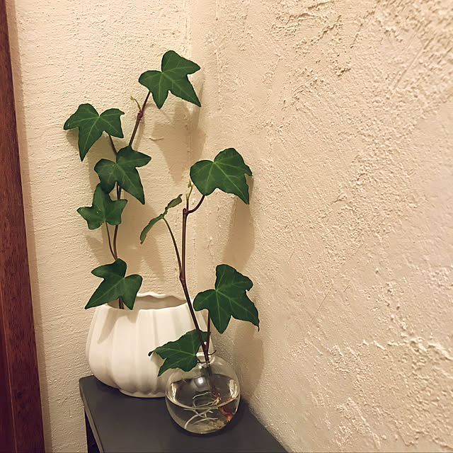 Soramaruさんの実例写真
