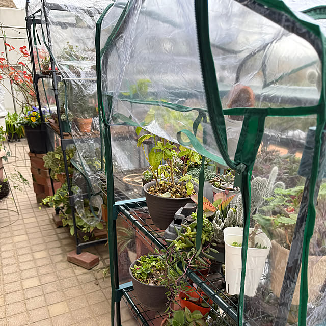 Aqettyさんの部屋