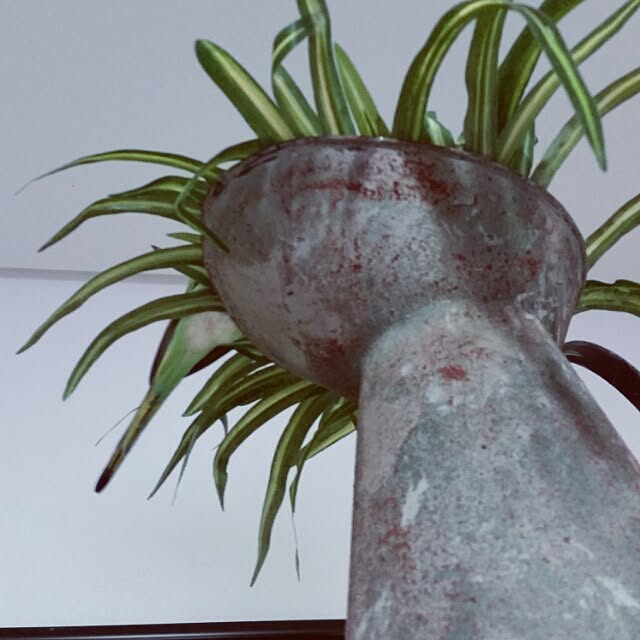 yukoさんの実例写真