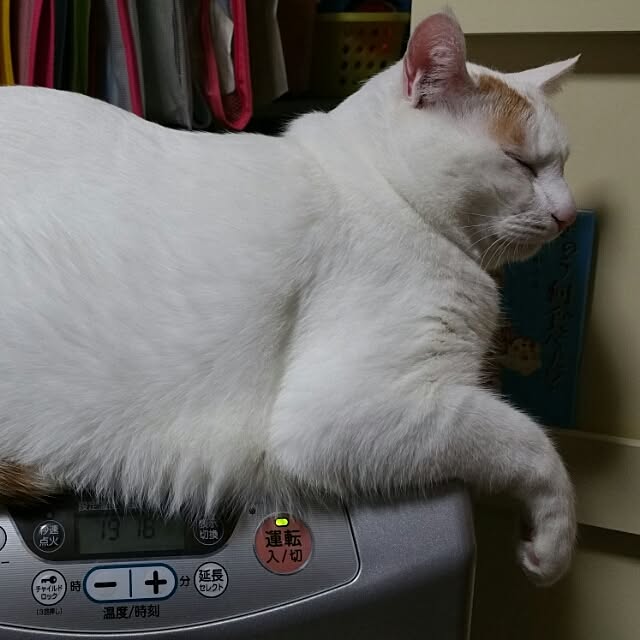 Yukikoさんの実例写真