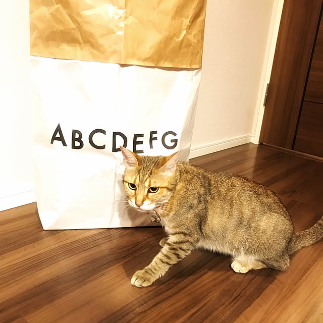 1633さんの実例写真