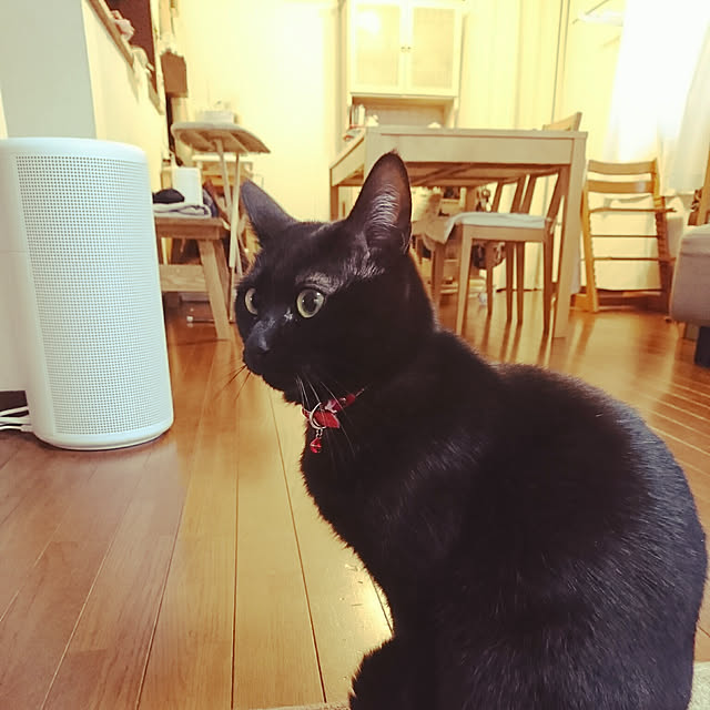 rururoroさんの実例写真