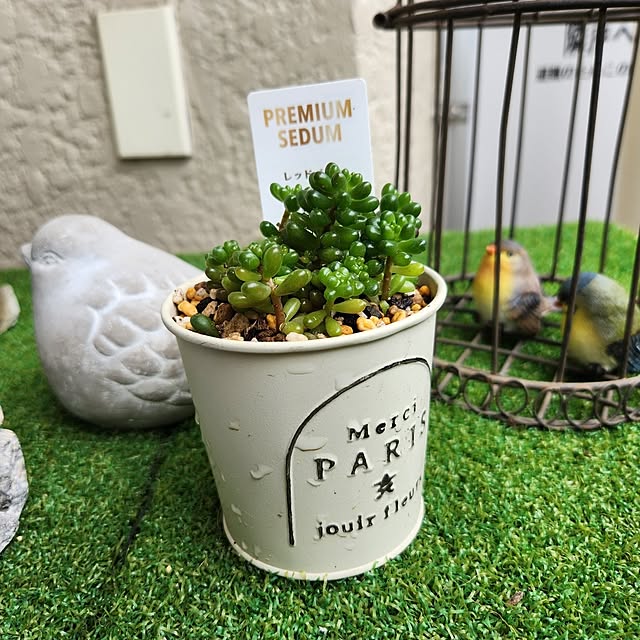 takoさんの部屋