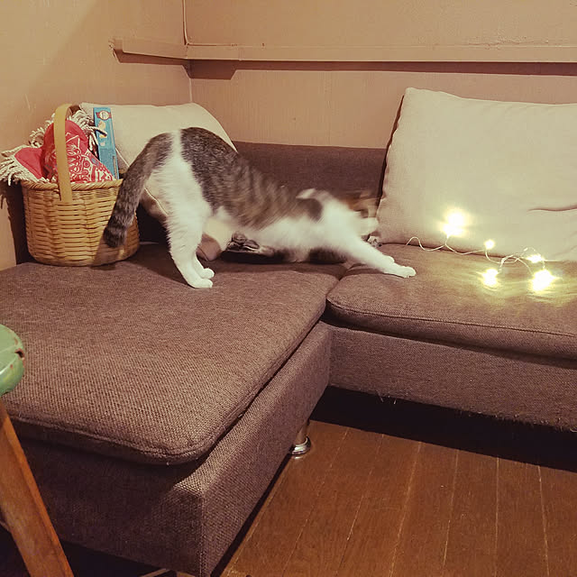 実例写真