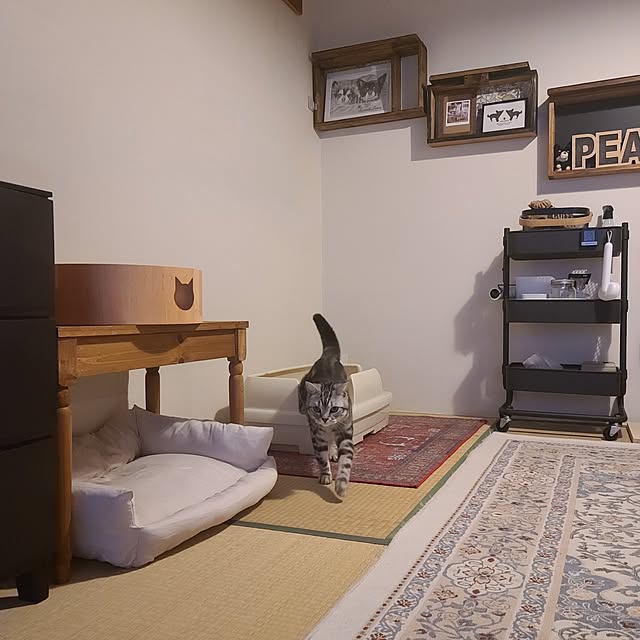 lovepeaceさんの部屋