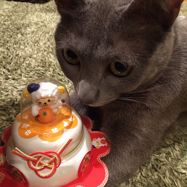 eriさんの実例写真