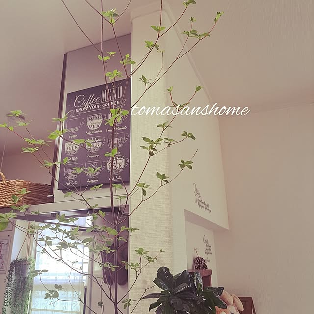 tomasanさんの部屋