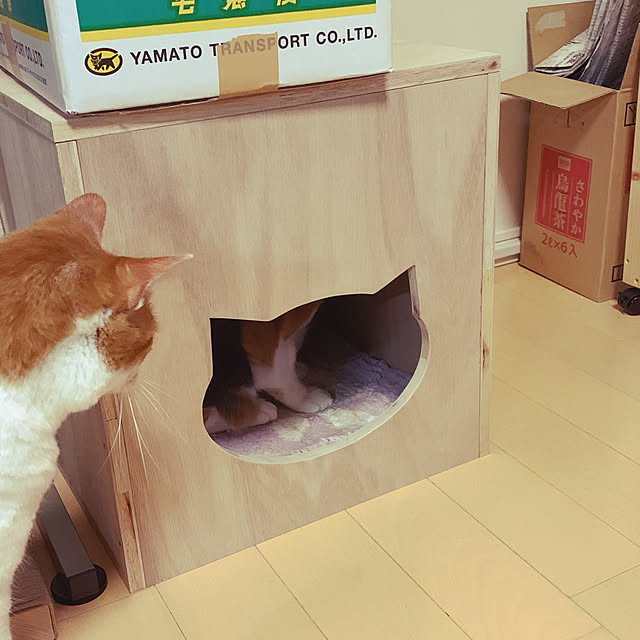 jun_sun_moonさんの実例写真
