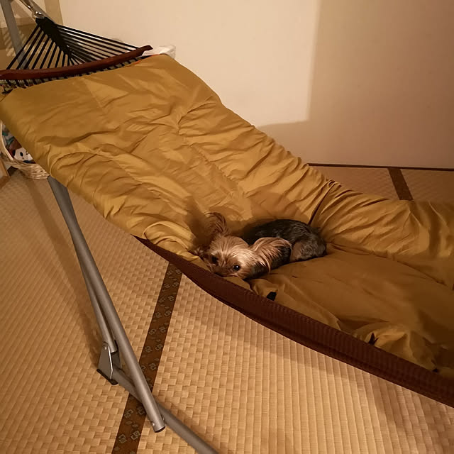 akiさんの実例写真
