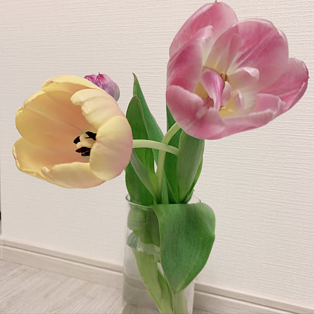 yuyu..さんの実例写真