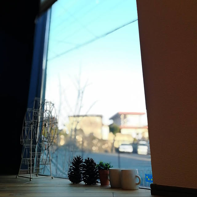 apolonさんの実例写真