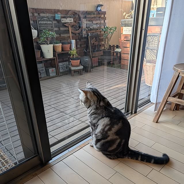 lovepeaceさんの部屋