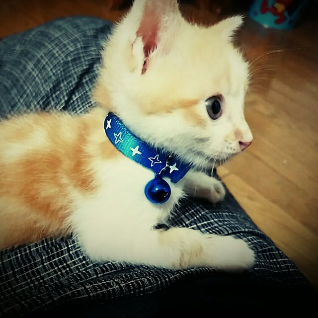 TUNさんの実例写真