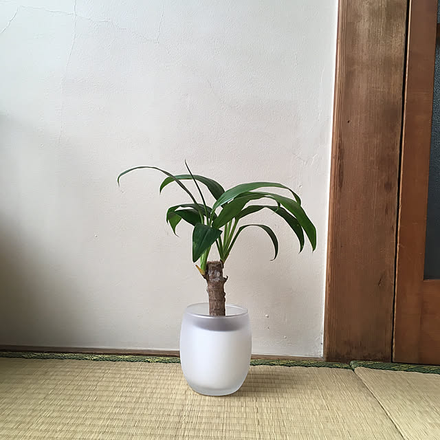 mizunokiさんの実例写真