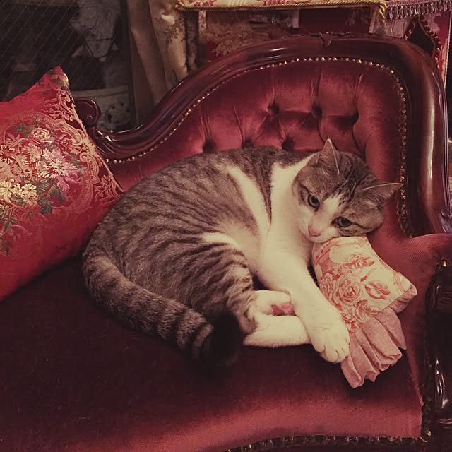emmyyさんの実例写真