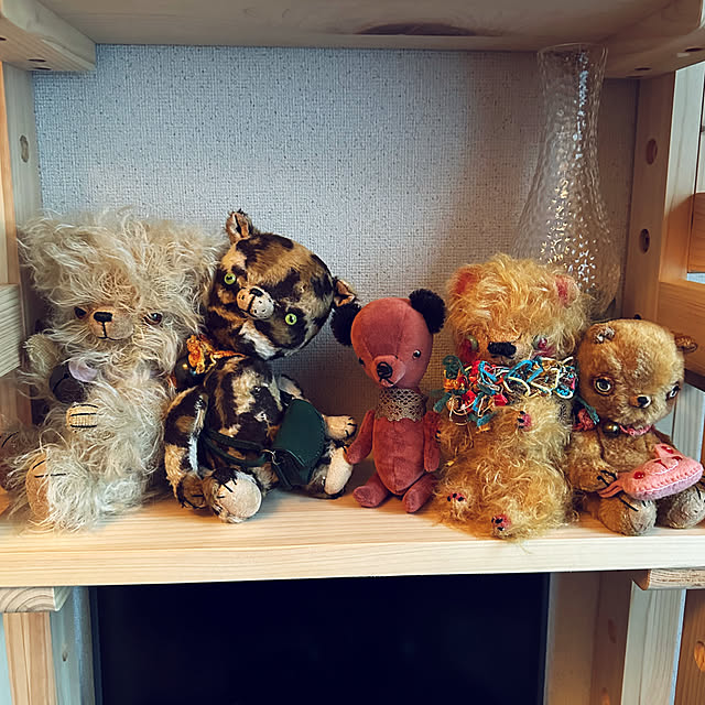 fujimachiさんの部屋