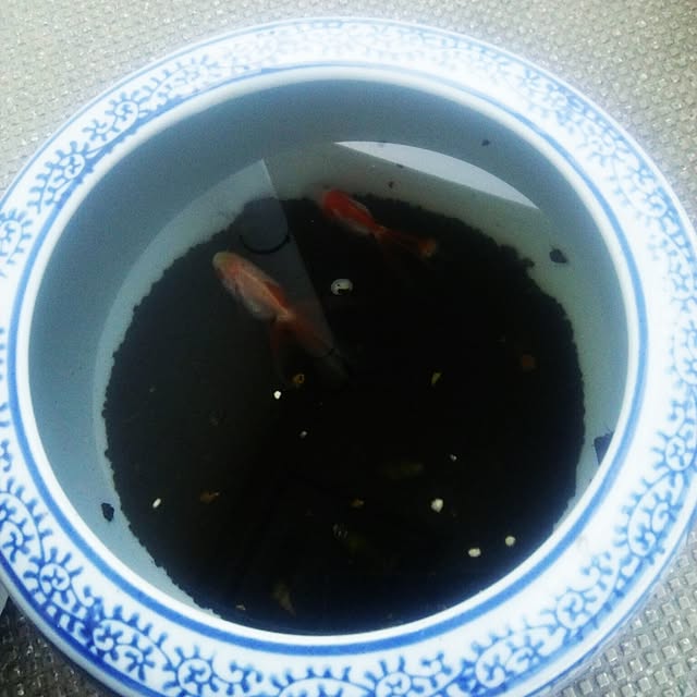 naorinさんの実例写真
