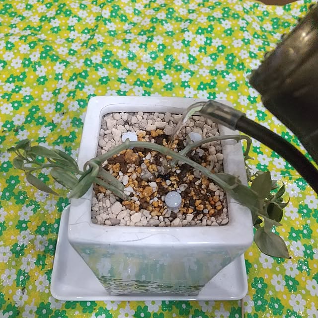 Rさんの部屋