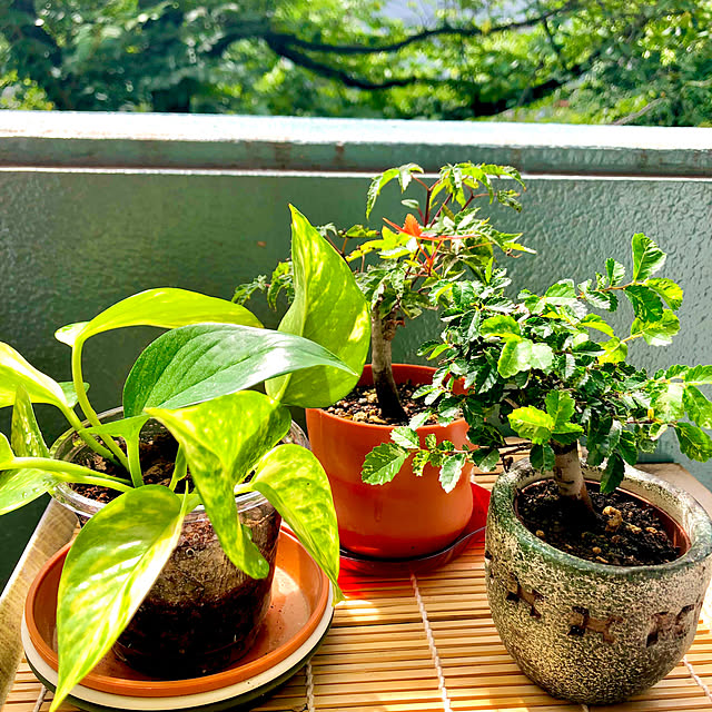 M_Mさんの部屋