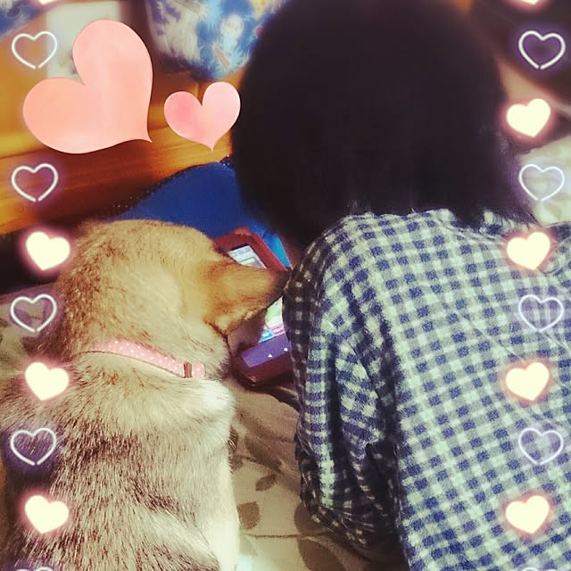 andさんの実例写真