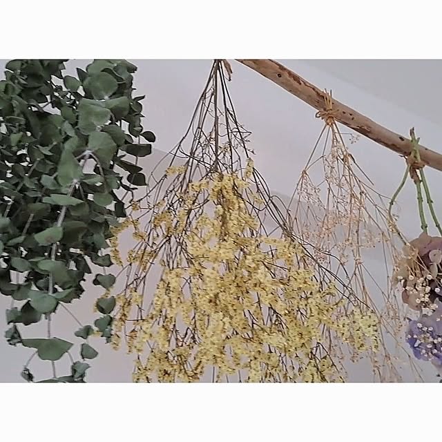 kankanmom_horn_5catsさんの部屋