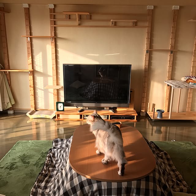 yumuyumuさんの実例写真