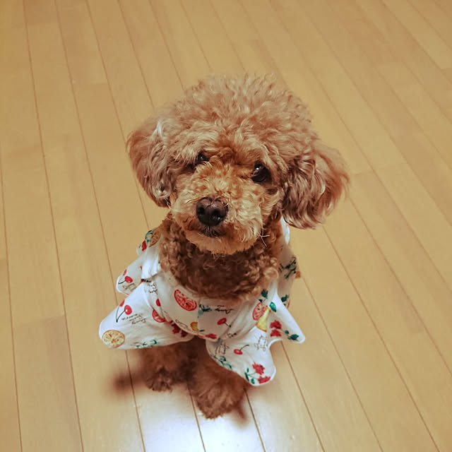 mkrさんの実例写真