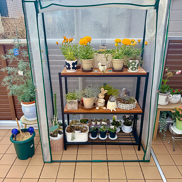 miyuさんの実例写真