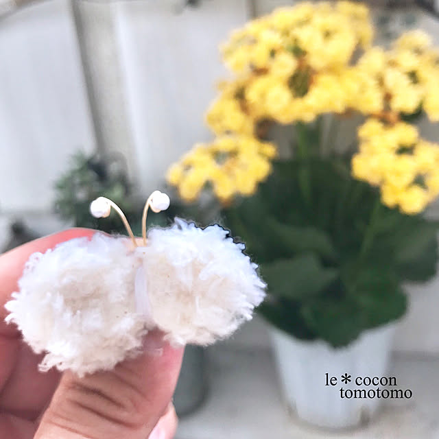tomotomo325さんの実例写真