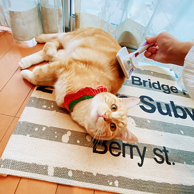 moolさんの部屋