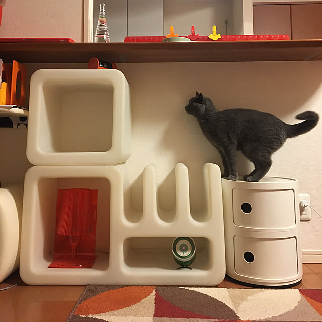 ikettenさんの実例写真