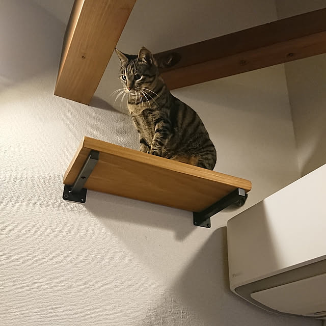 taka-kiさんの実例写真