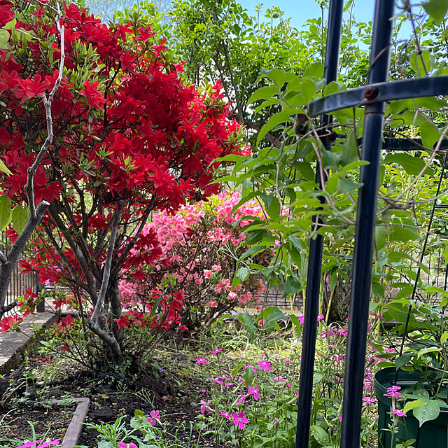 natsumiさんの実例写真